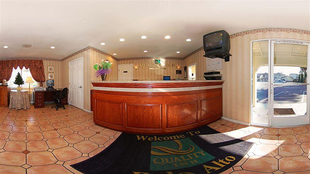 The Nest 4*